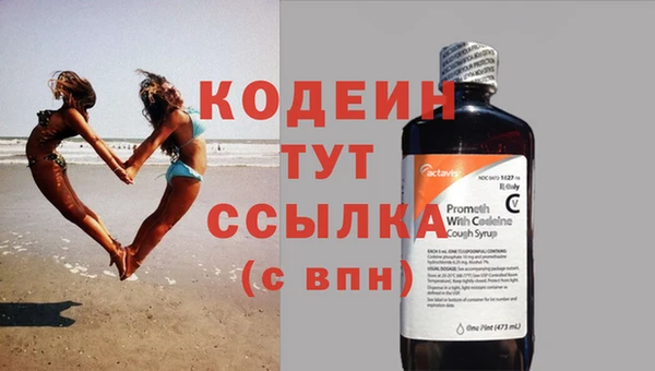 PSILOCYBIN Корсаков