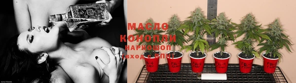 PSILOCYBIN Корсаков