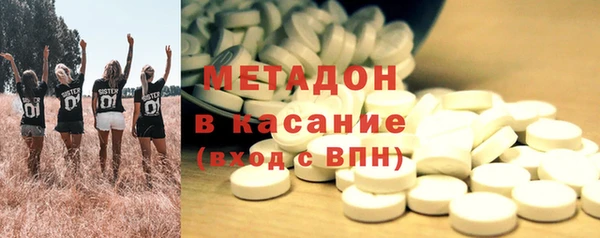 PSILOCYBIN Корсаков