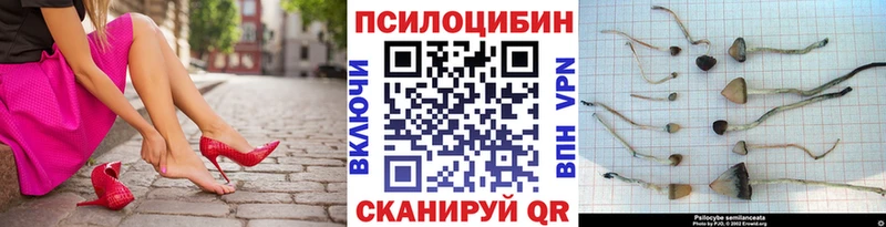 Купить закладки  Кумертау  Галлюциногенные грибы GOLDEN TEACHER 